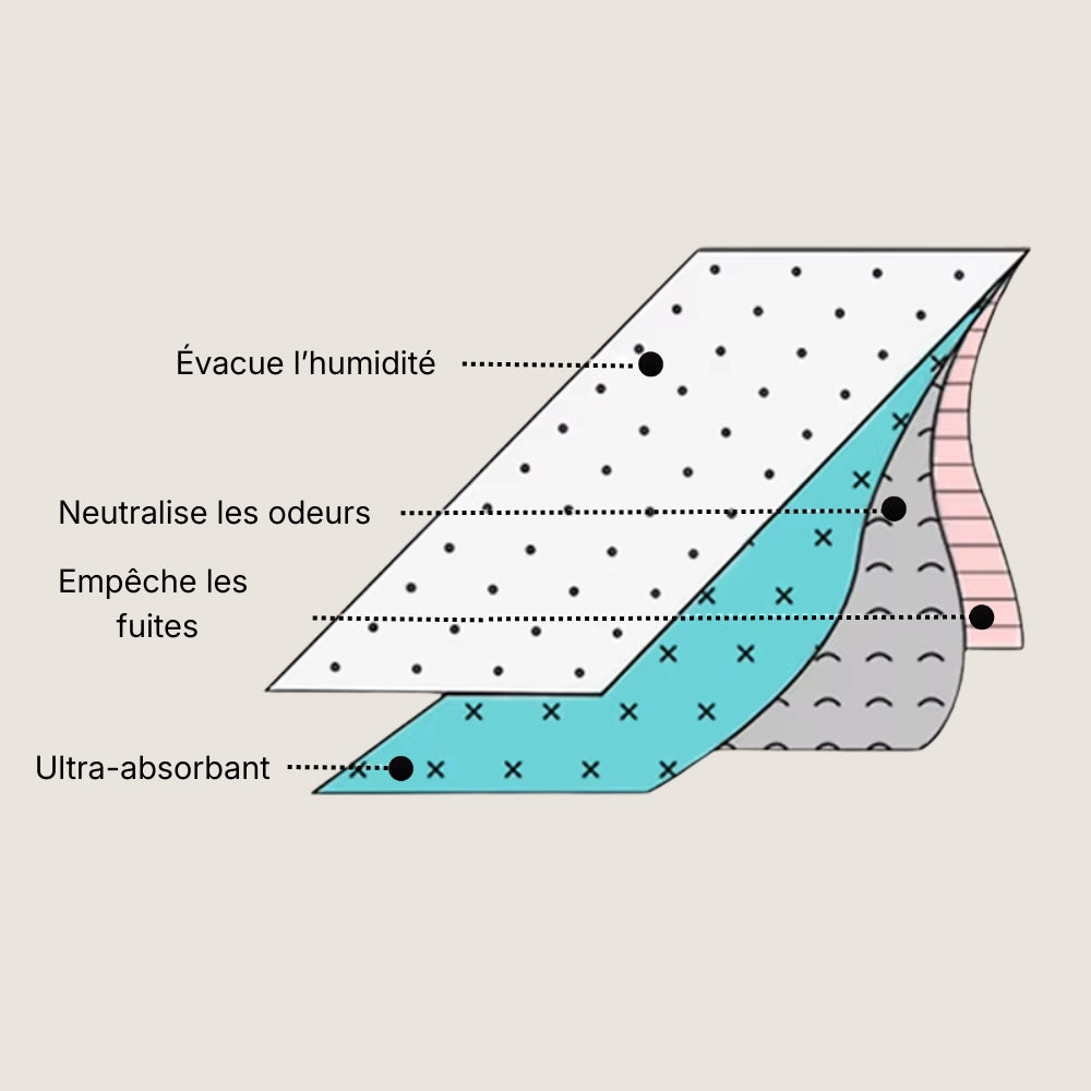 Schéma des couches absorbantes de la culotte menstruelle OFFUZA anti-fuites